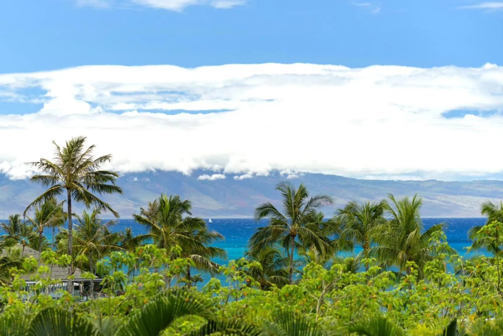 Kbm Resorts Luxury Oceanfront Villa At Montage Kapalua Bay Private Lanai And Bbq Free Rental Car Malia-At-Montage-Kapalua-Bay ארצות הברית